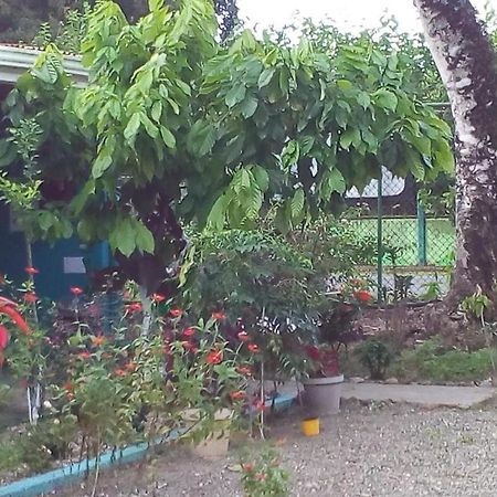 Cabinas Surf Side Cahuita Exteriör bild