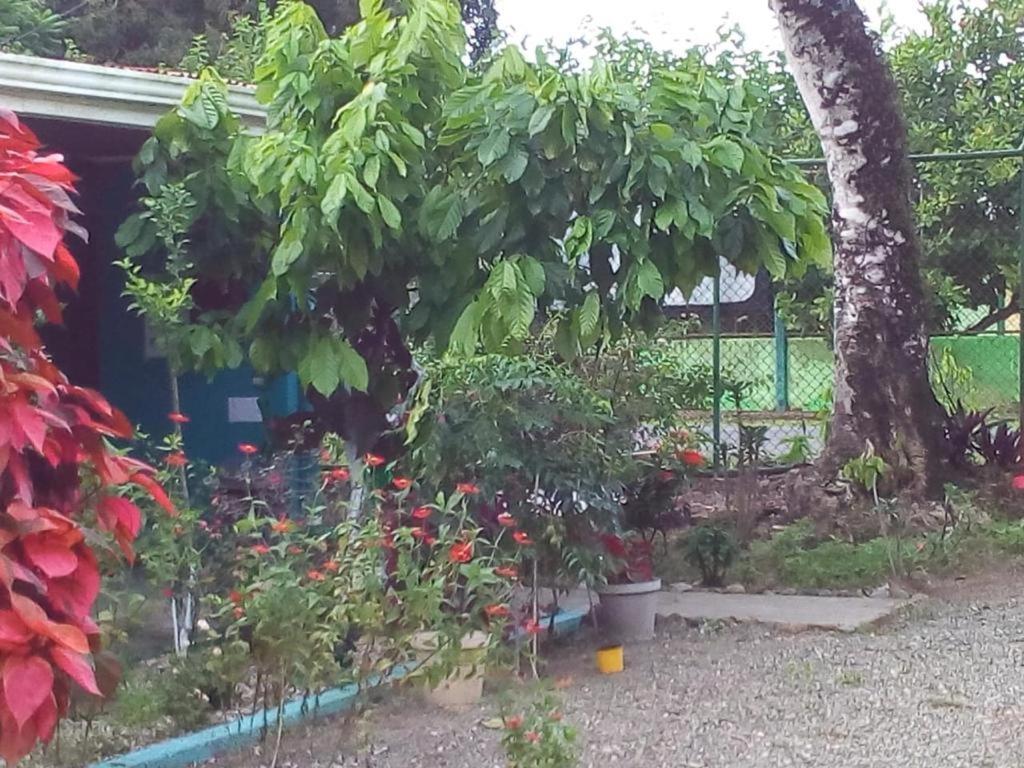 Cabinas Surf Side Cahuita Exteriör bild